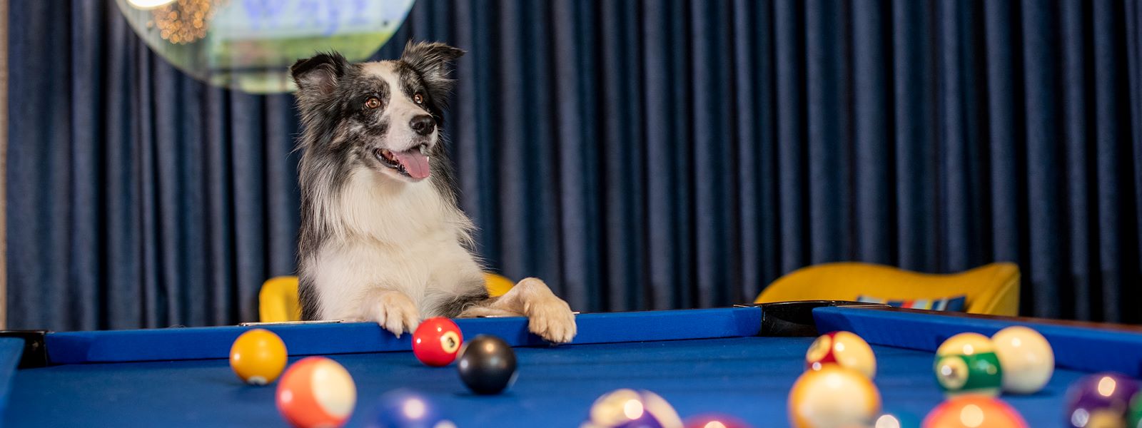 Aloft Brussels Schuman
